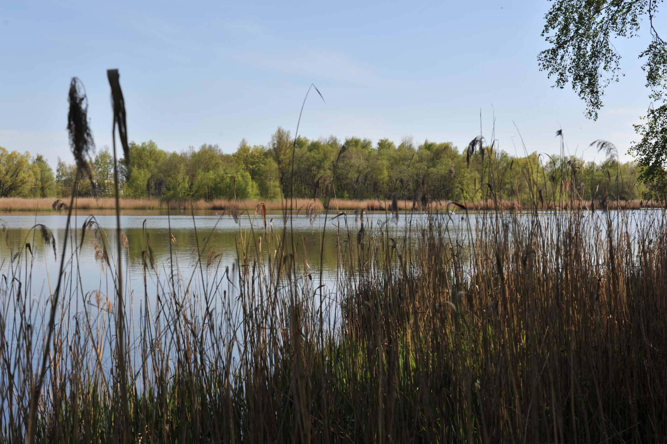Weserportsee