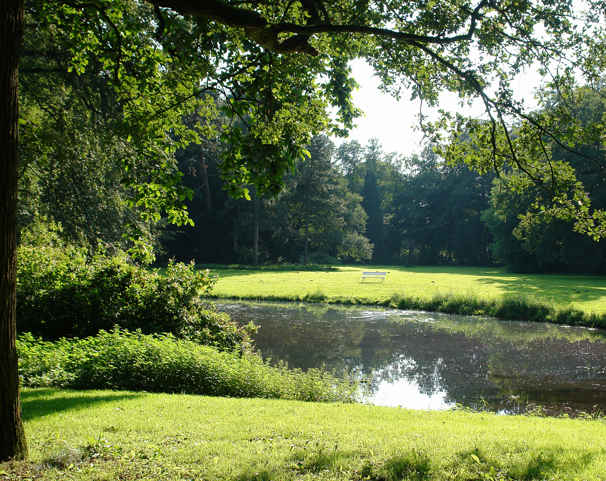 Park Höpkens Ruh