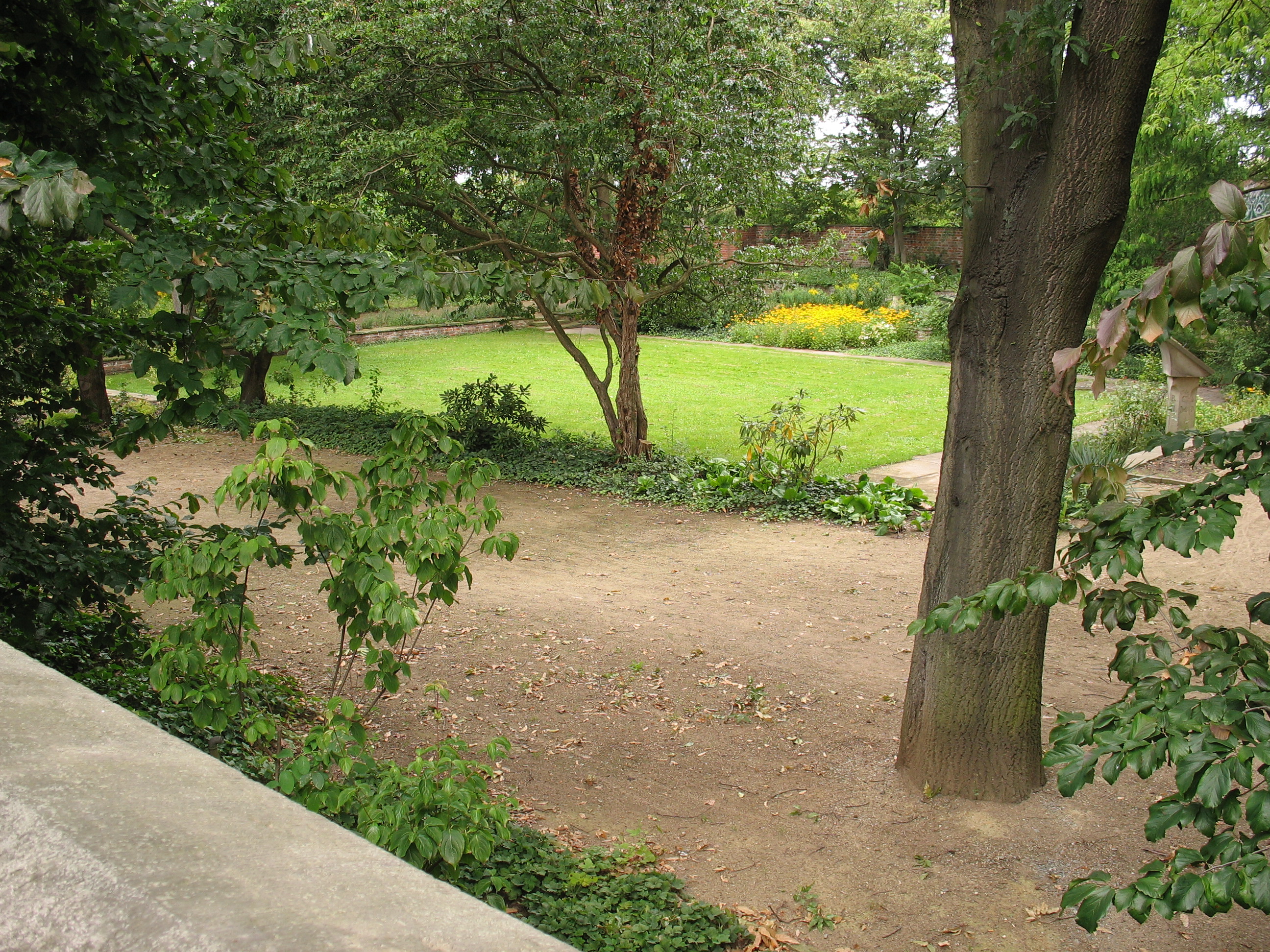 Focke-Garten