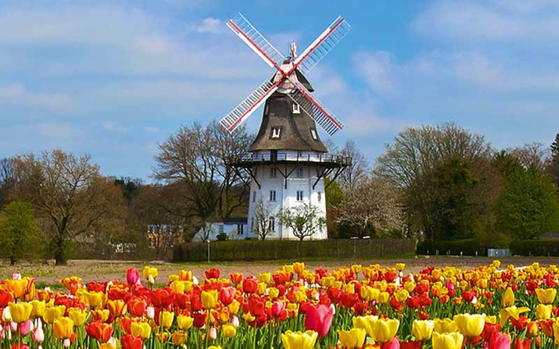 Anzeigen in Oberneuland, Bremen